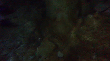 pc120291_thumb.jpg