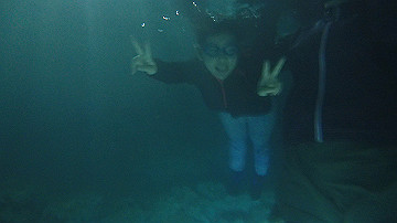 pc120310_thumb.jpg
