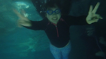 pc120315_thumb.jpg