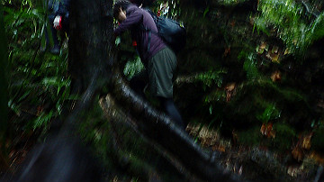 pc120337_thumb.jpg