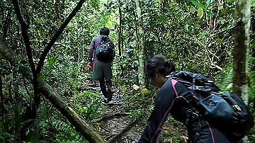 pc120339.mov_thumb.jpg