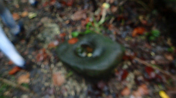 pc120343_thumb.jpg