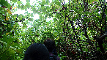 pc120345_thumb.jpg