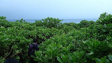 pc120346_thumb.jpg