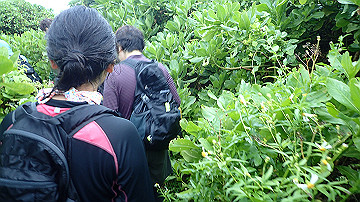 pc120347_thumb.jpg