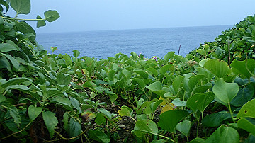 pc120351_thumb.jpg