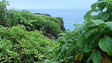 pc120352_thumb.jpg
