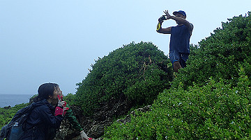 pc120361_thumb.jpg