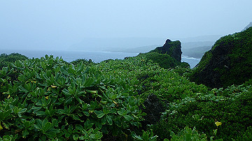pc120370_thumb.jpg