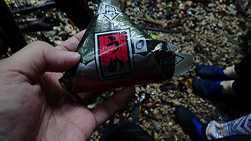 pc120393_thumb.jpg