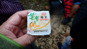 pc120395_thumb.jpg