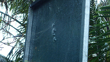 pc120404_thumb.jpg