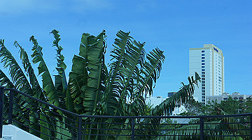 dsc01016_thumb.jpg