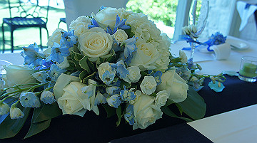 dsc01060_thumb.jpg