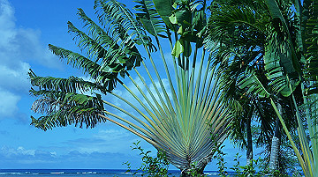 dsc01061_thumb.jpg