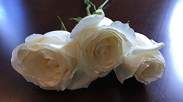 img_6936_thumb.jpg