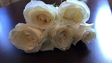 img_6937_thumb.jpg