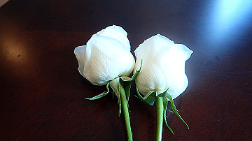 pc130472_thumb.jpg