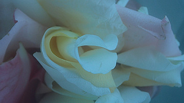 pc130553_thumb.jpg