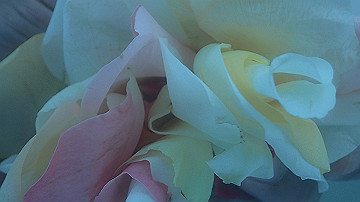 pc130554_thumb.jpg