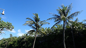 pc140763_thumb.jpg