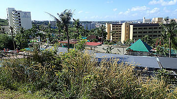 pc140771_thumb.jpg