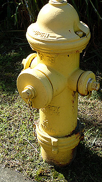 pc140773_thumb.jpg