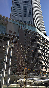 img_7053_thumb.jpg