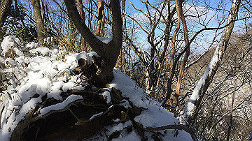 img_7211_thumb.jpg
