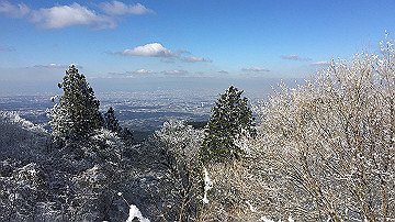 img_7212_thumb.jpg