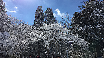img_7213_thumb.jpg