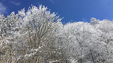 img_7215_thumb.jpg