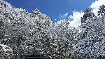 img_7218_thumb.jpg