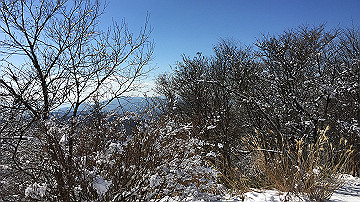 img_7224_thumb.jpg