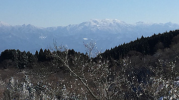 img_7231_thumb.jpg