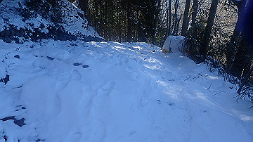 p1260852_thumb.jpg