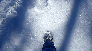 p1260857_thumb.jpg