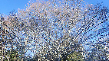 p1260858_thumb.jpg
