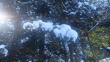 p1260860_thumb.jpg
