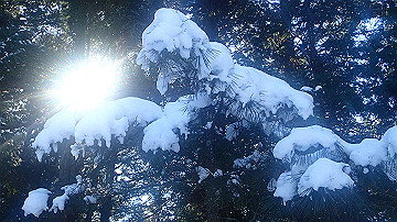 p1260861_thumb.jpg