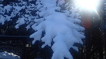 p1260863_thumb.jpg