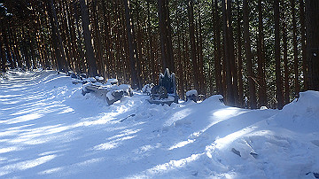 p1260876_thumb.jpg