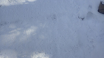 p1260882_thumb.jpg