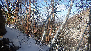 p1260884_thumb.jpg