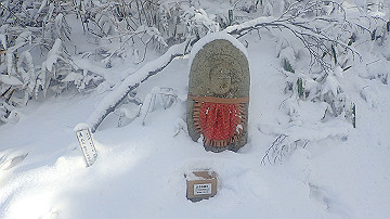 p1260891_thumb.jpg