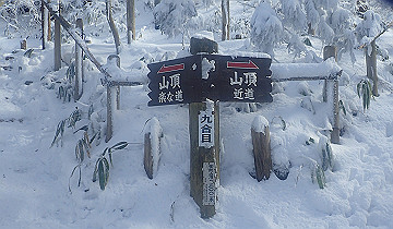 p1260898_thumb.jpg