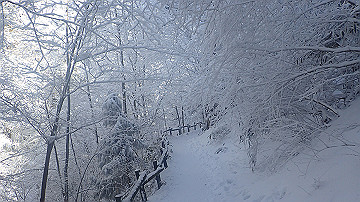 p1260902_thumb.jpg
