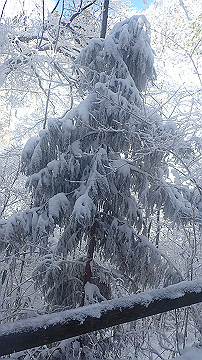 p1260904_thumb.jpg