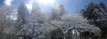 p1260909_thumb.jpg