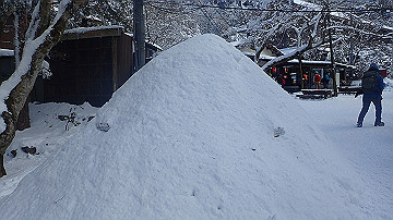 p1260924_thumb.jpg